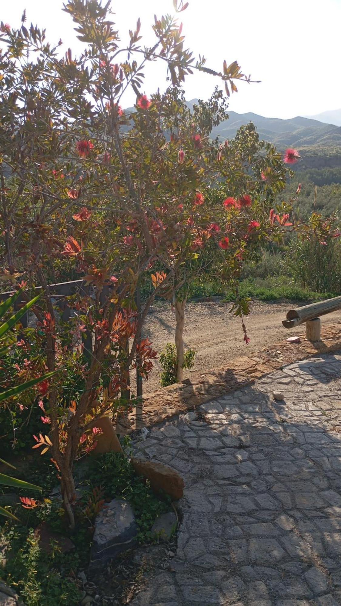 Cortijo Rural Molino El Tarahal Con Piscina Y Zonas Compartidas Esterno foto